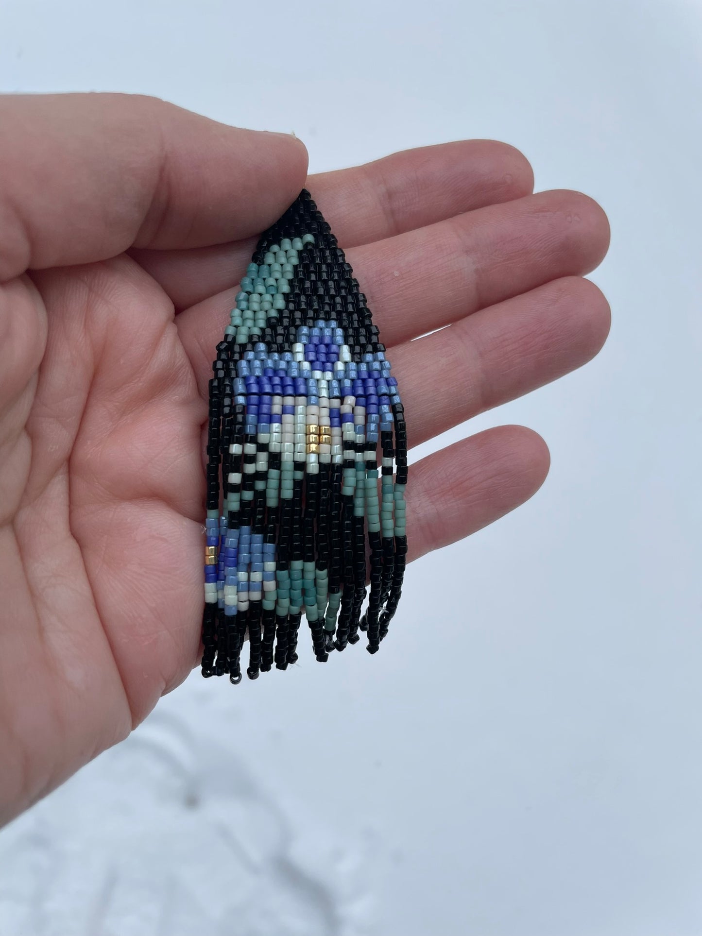 Orchidée noire et bleue