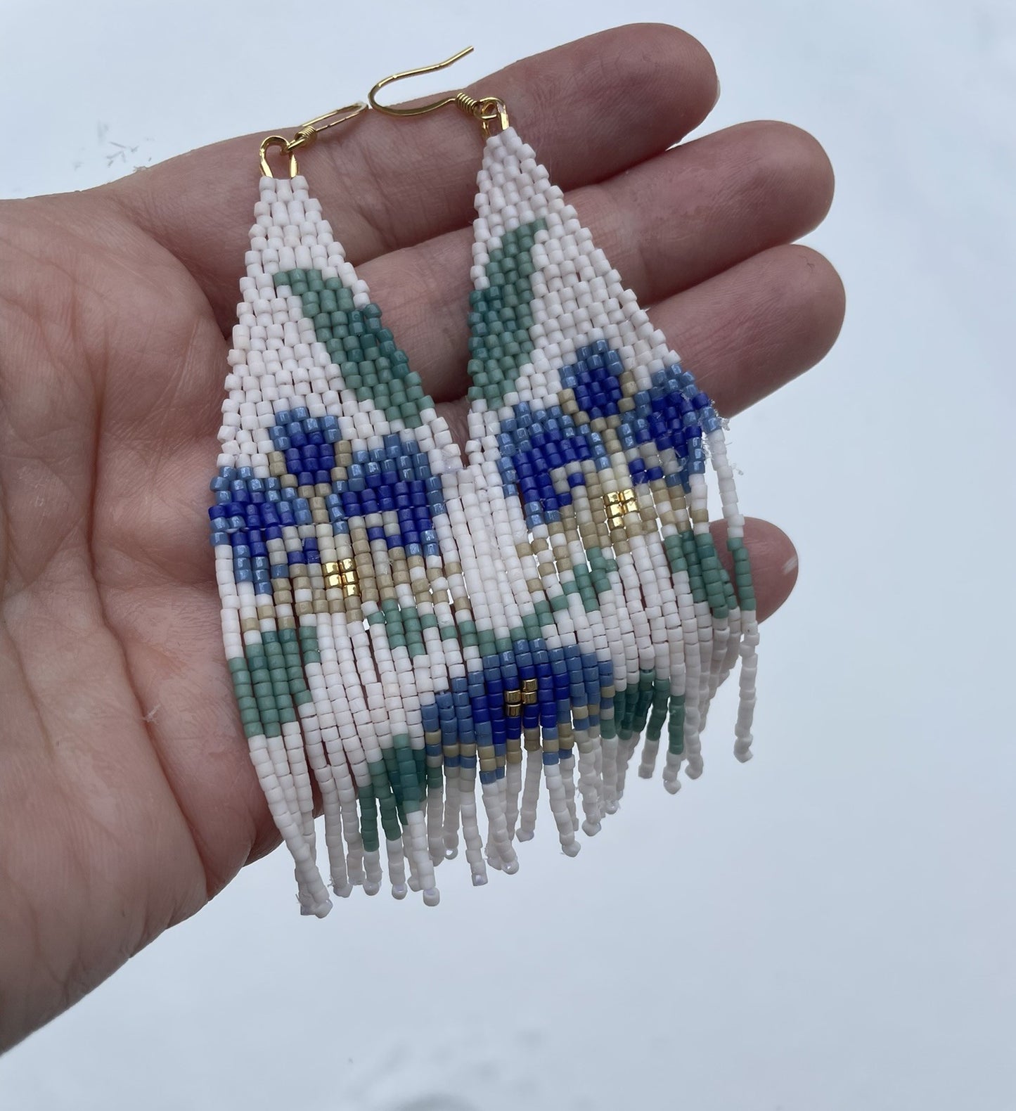 Orchidée blanche et bleue